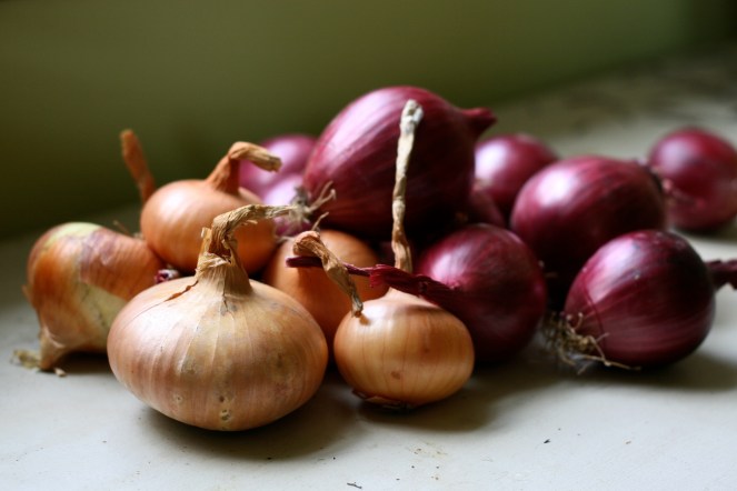 "Organic Onions" © Susy Morris, 2009. CC BY-NC 2.0.