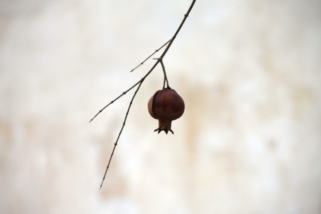 "Pomegranate" © Klearchos Kapoutsis, 2010. CC BY 2.0.