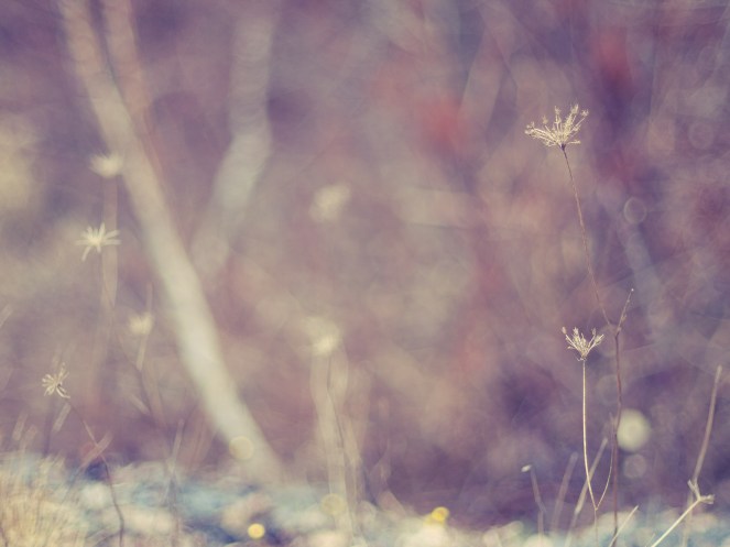 "Minimalism outside" © 55Laney69, 2012. CC BY 2.0.