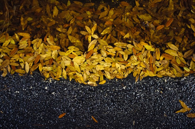 "57/365 - Fallen Layers" © Ahmed Hashim, 2012. CC BY-NC-ND 2.0.