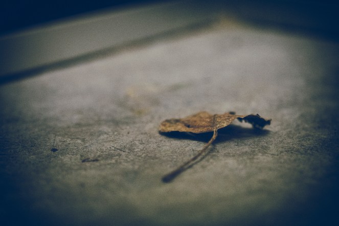 "left alone" © Marco Monetti, 2014. CC BY-ND 2.0.