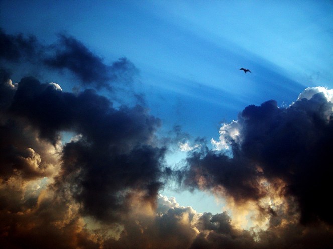 "We Are Climbing..." © Duane Romanell, 2006. CC BY-NC-ND 2.0.