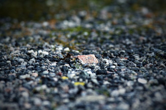 "Gravel 2" © Stig Morten Waage, 2008. CC BY-NC 2.0.