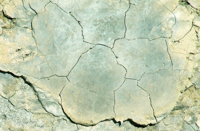 2787609571_3e951d2022_o