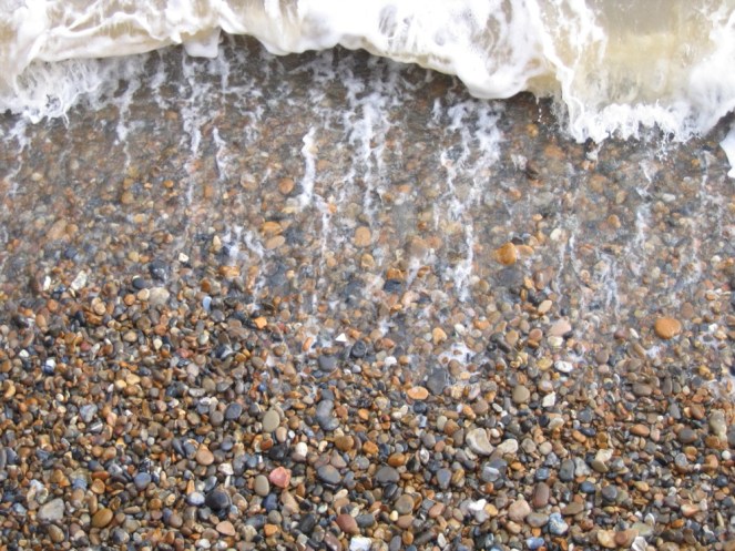 55143142_4e95d570e2_o